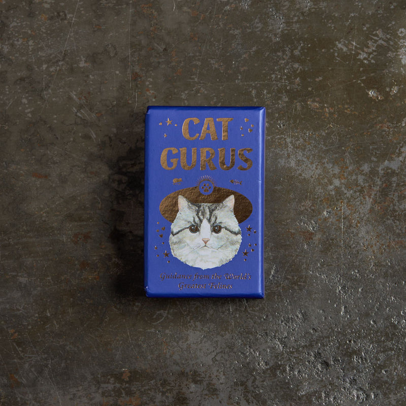 Cartes - Cat Gurus