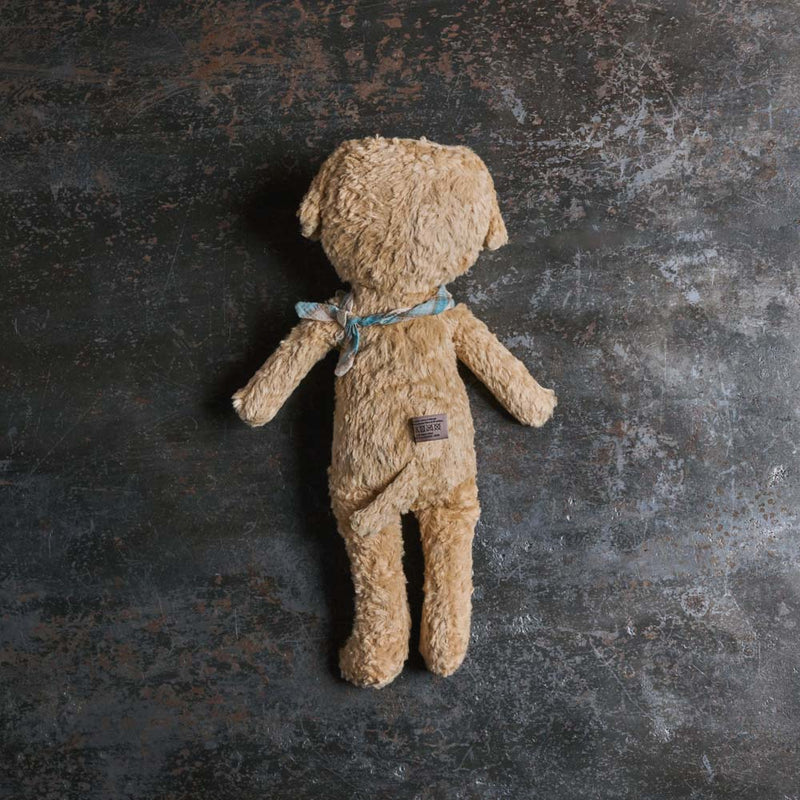 Peluche - Mon premier ours - Poudre