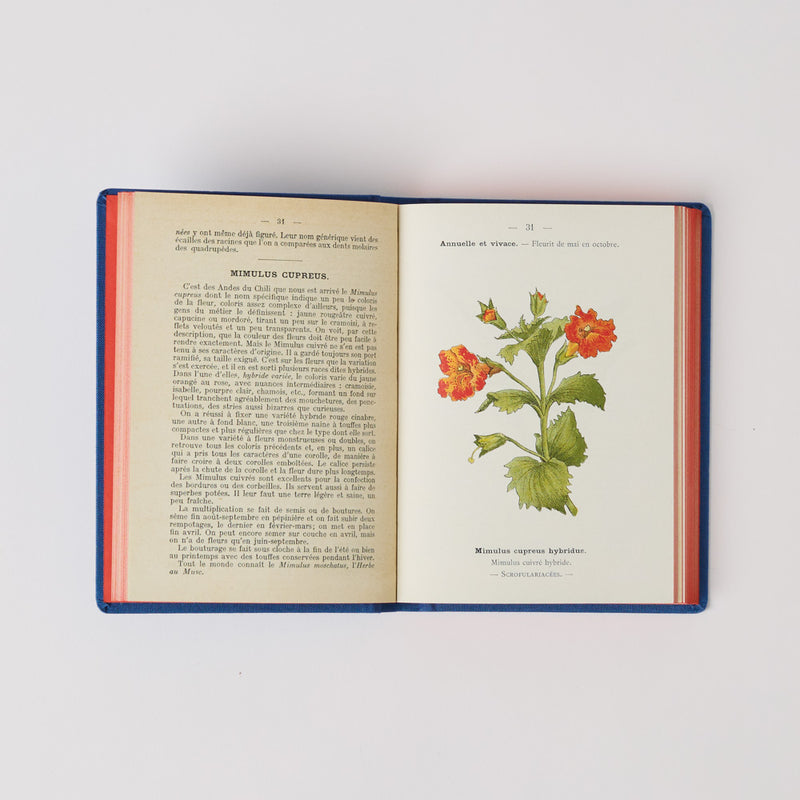 Atlas Book - Garden Flowers – Merci Paris