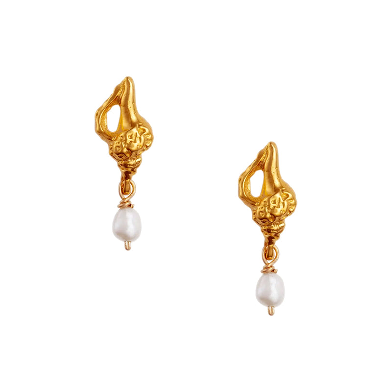 Fontennoy - Boucles d'oreilles Conchiglie Alle Vongole - Or