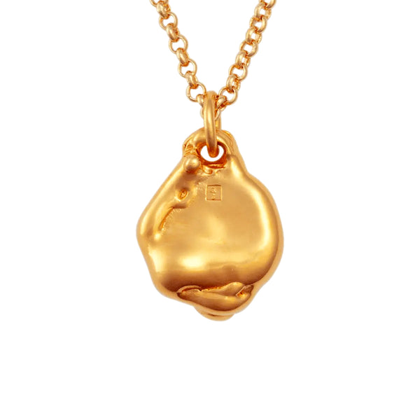 Fontennoy - Collier Médaillon Perdu - Or