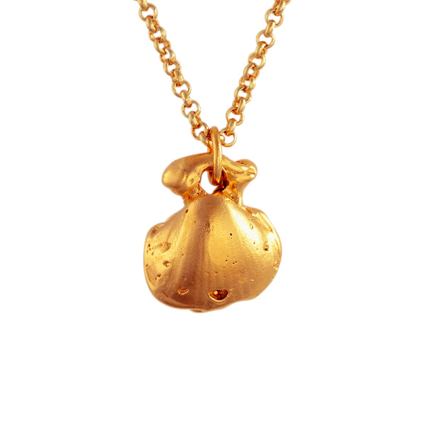 Fontennoy - Collier Coquille - Or