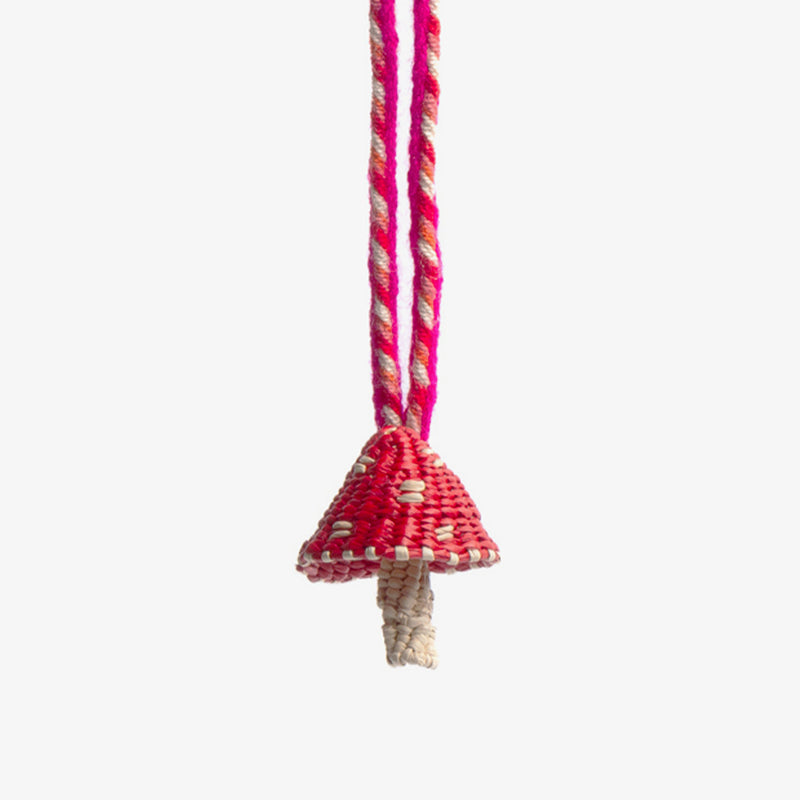 Guanabana - Charme Iraca - Champignon