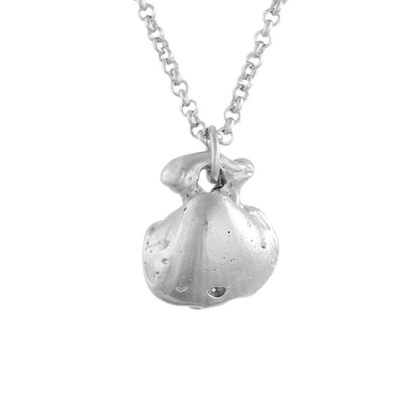 Fontennoy - Collier Coquille - Argent