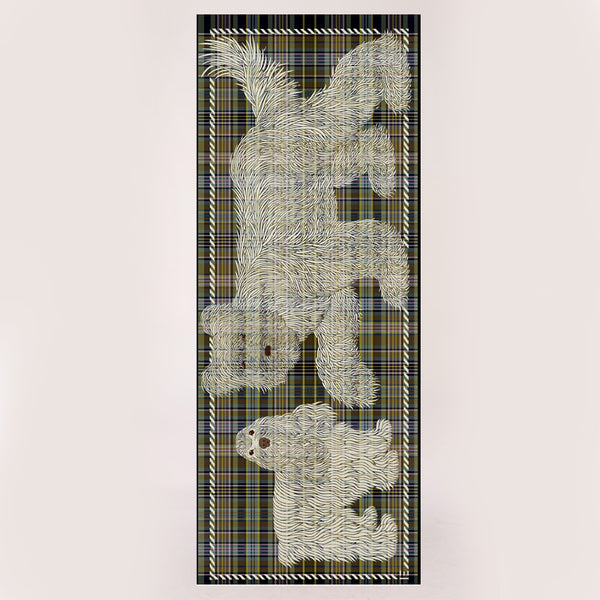 Inoui Editions - Etole Freddy - Kaki