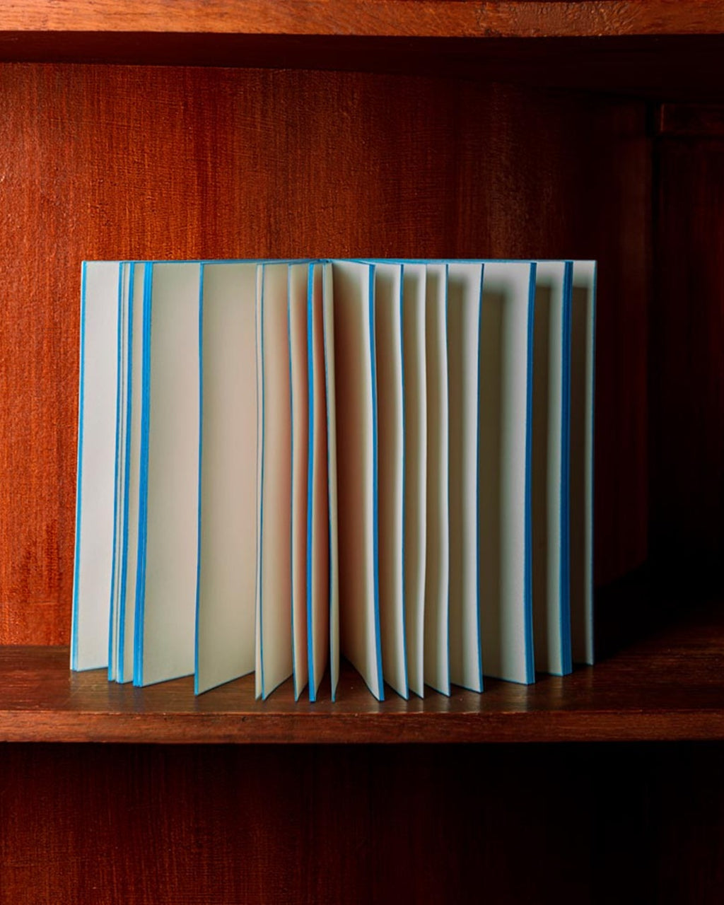 Slow - Carnet Moby Dick