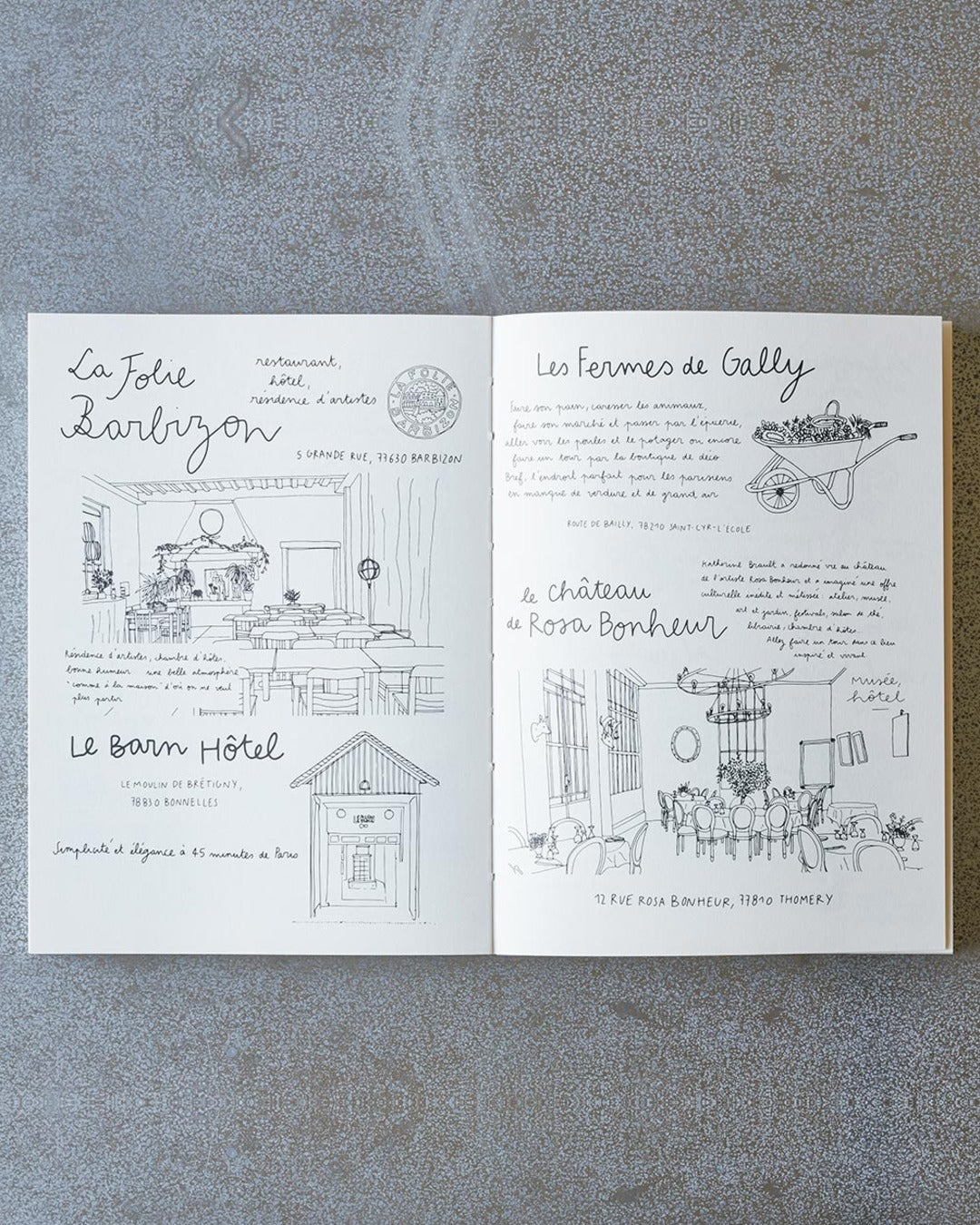 Hachette Editions - Livre Carnet Du Voyageur France