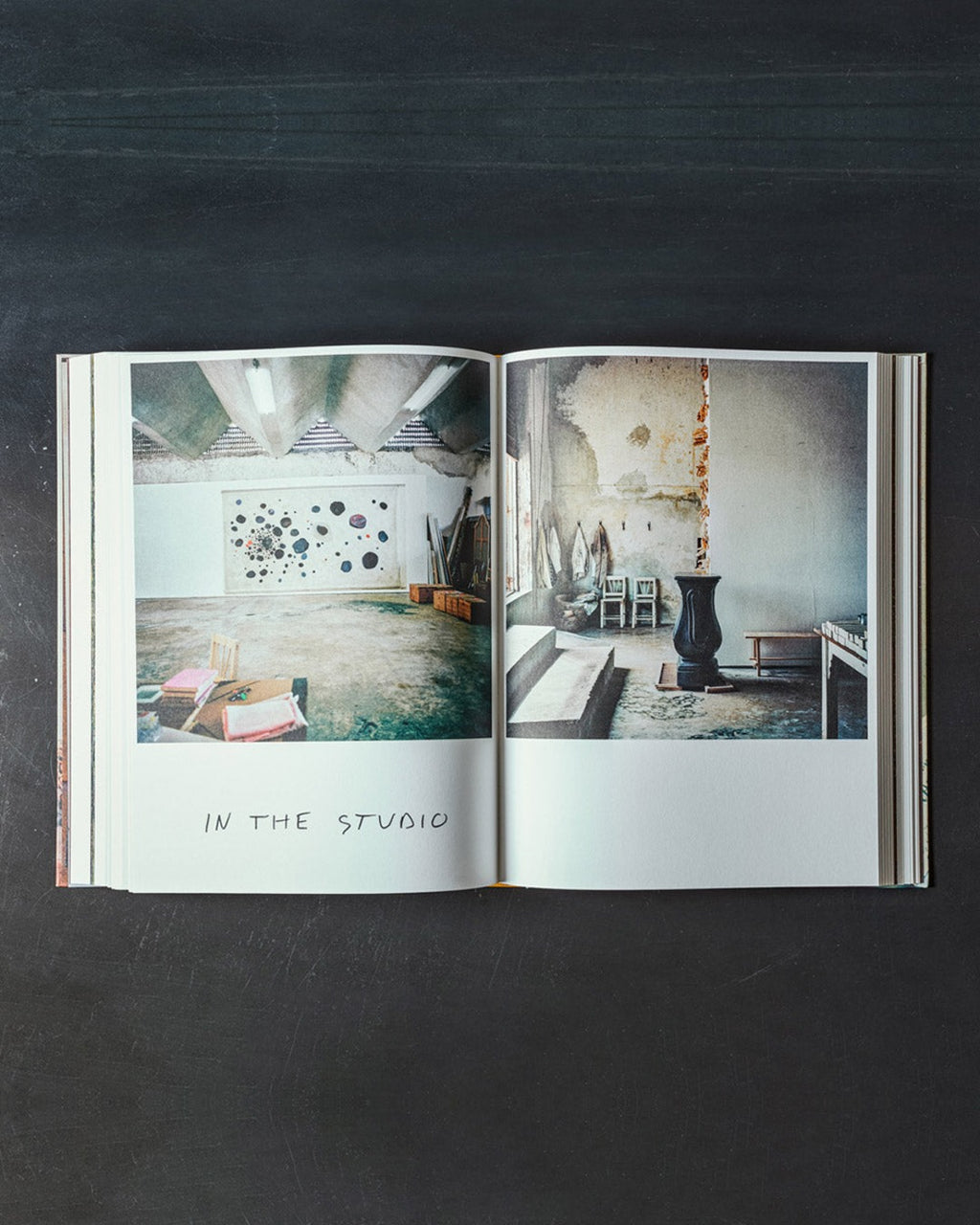 Rizzoli - Book - François Halard : The photographed intimate