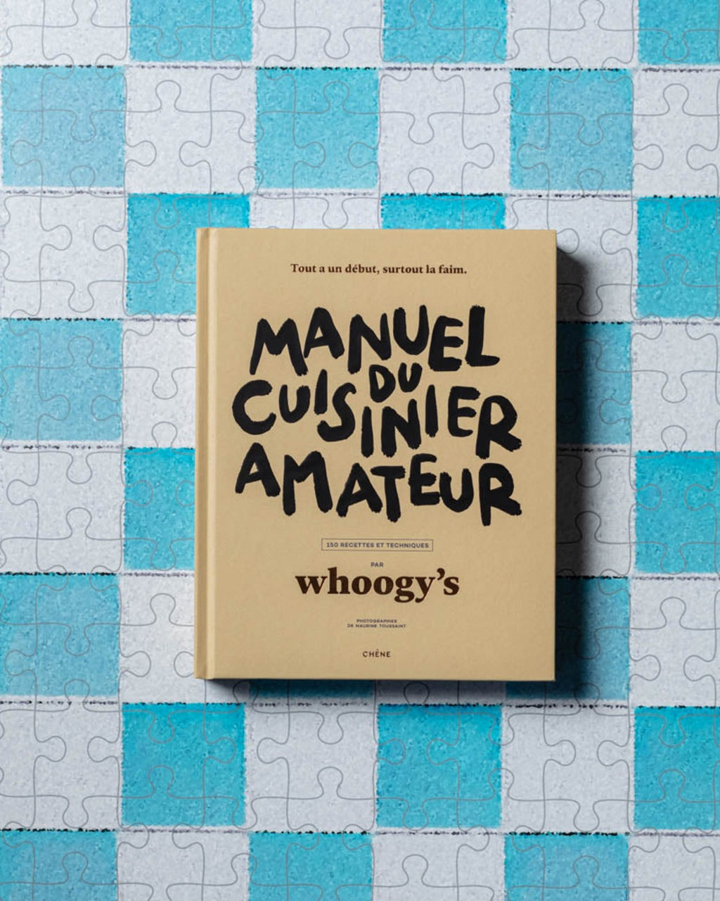 Hachette Editions - Book - Amateur cook's manual
