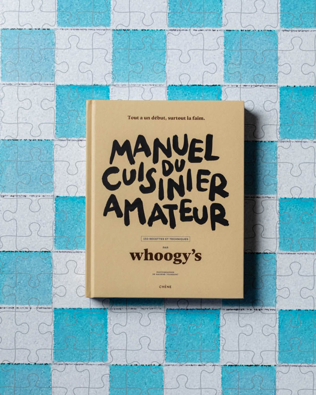 Hachette Editions - Book - Amateur cook's manual