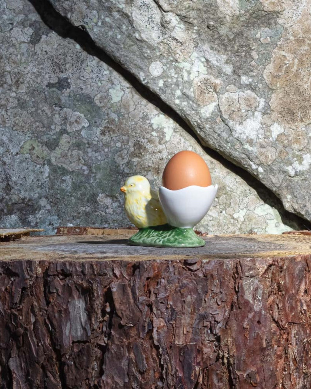 Eggcup eggshell with chick