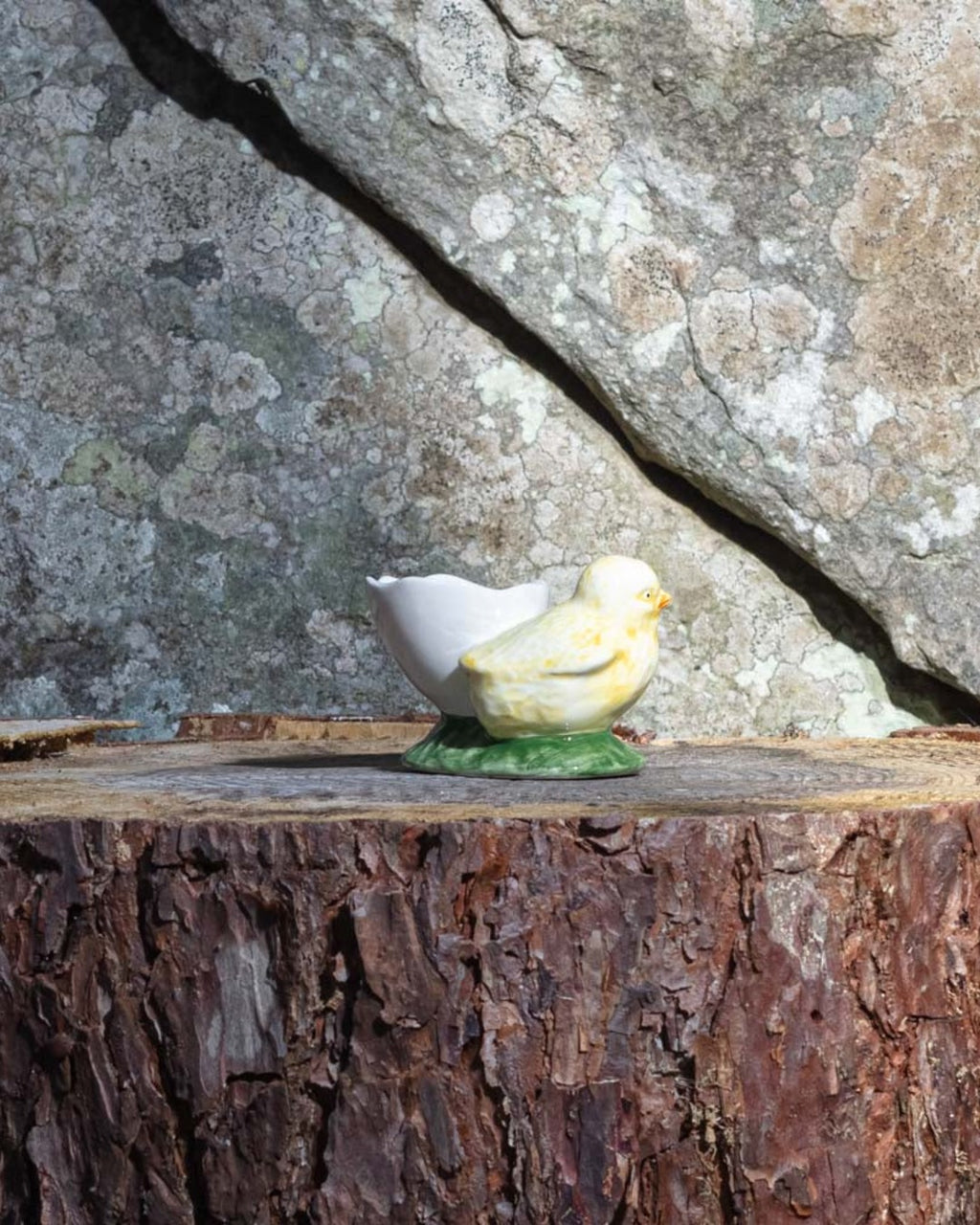 Eggcup eggshell with chick