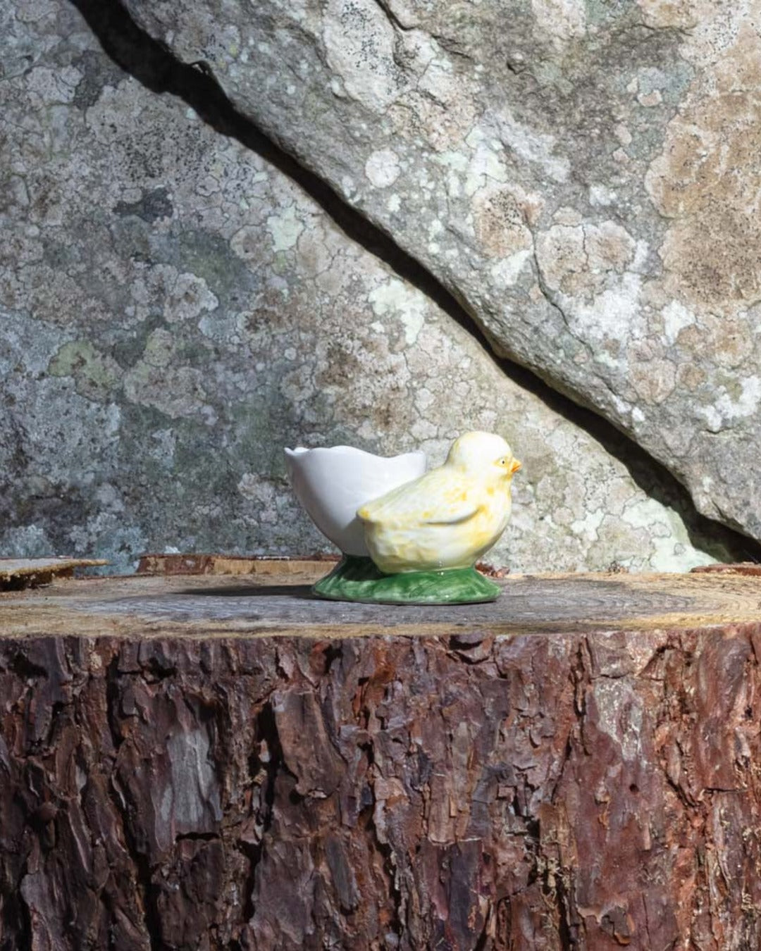 Eggcup eggshell with chick