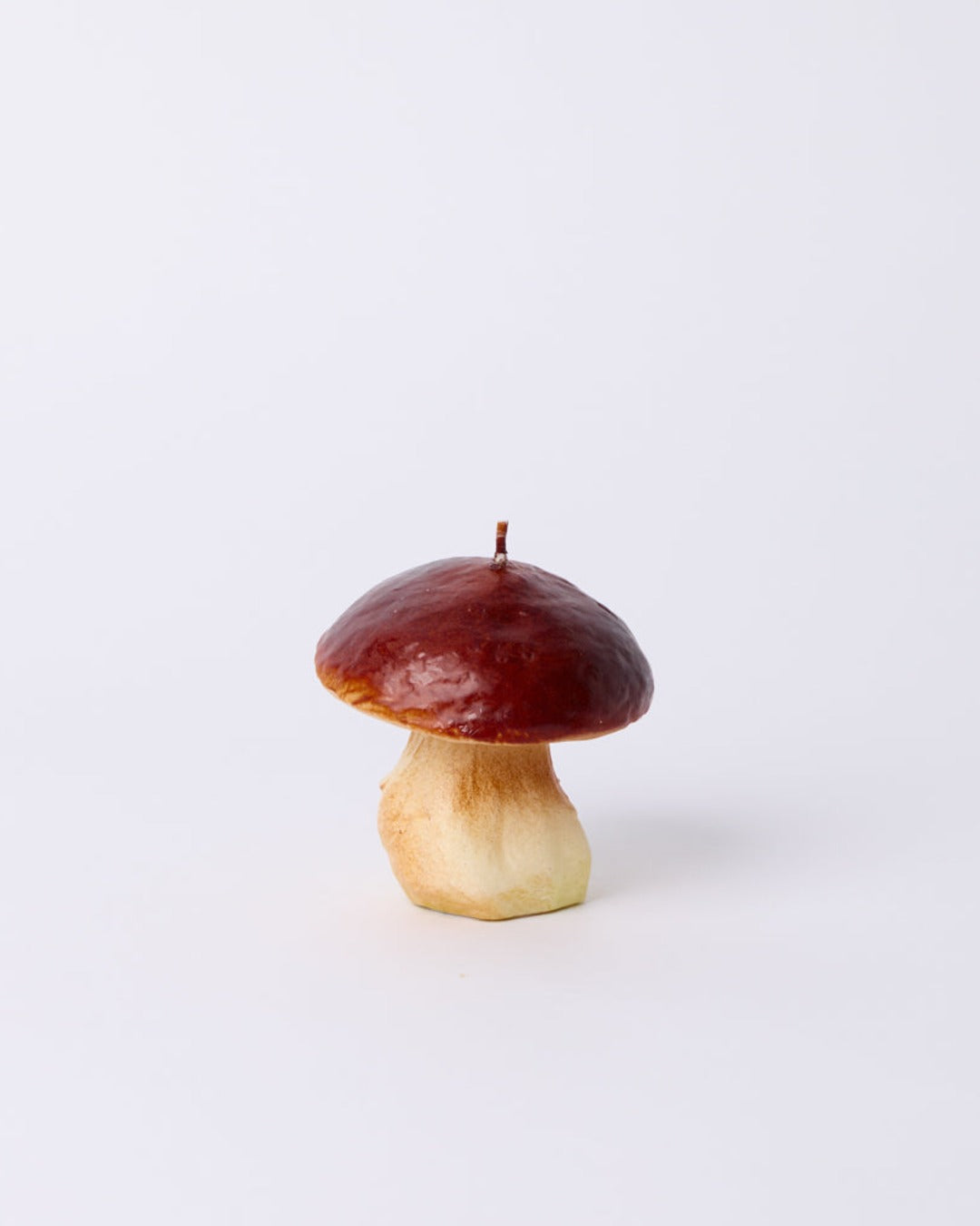 Introna - Bougie Champignon
