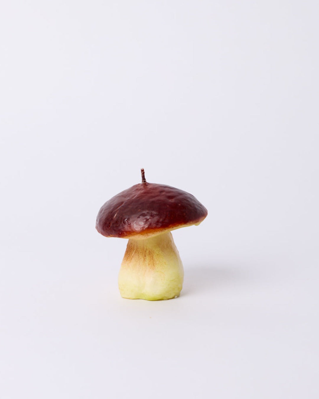 Introna - Bougie Champignon