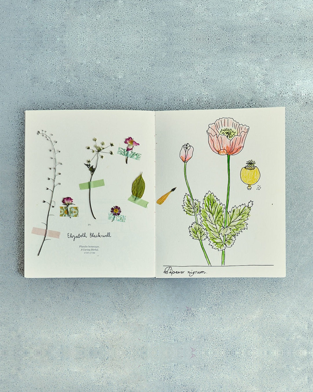 Hachette Editions - Livre Fleurs De Zoé De Las Cases