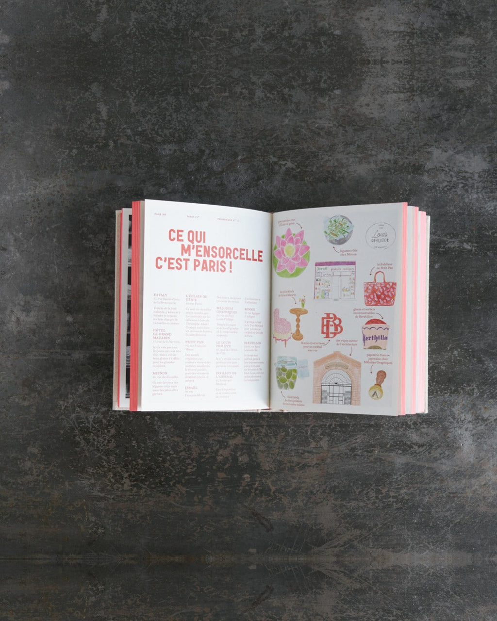 Hachette Editions - Livre Un Dimanche À Paris De Zoé De Las Cases