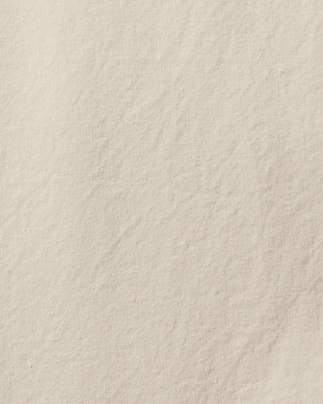 Beige Dune