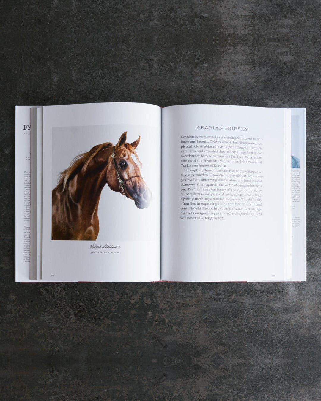 Rizzoli - Livre Farm Life