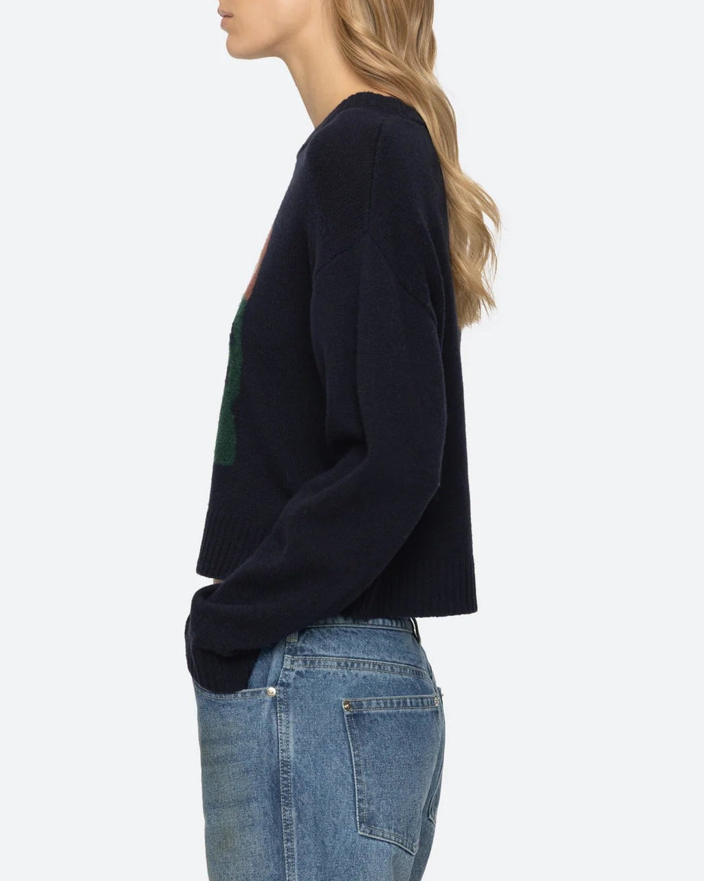 Sea New York - Patton Sweater - Multi