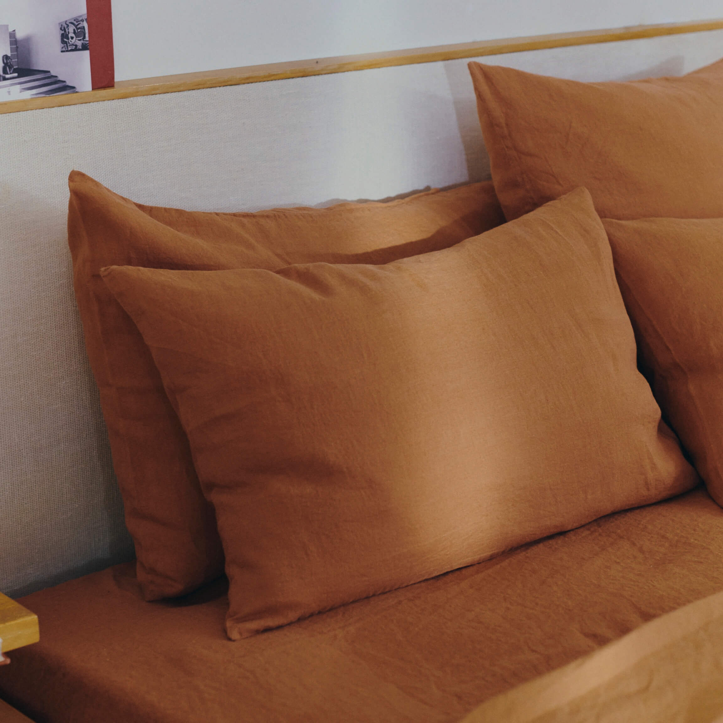 Lot De 2 Taies D'oreiller 35x35 Cm En Velours Beige - Housse De Coussin Motif Fleurs Recto-verso