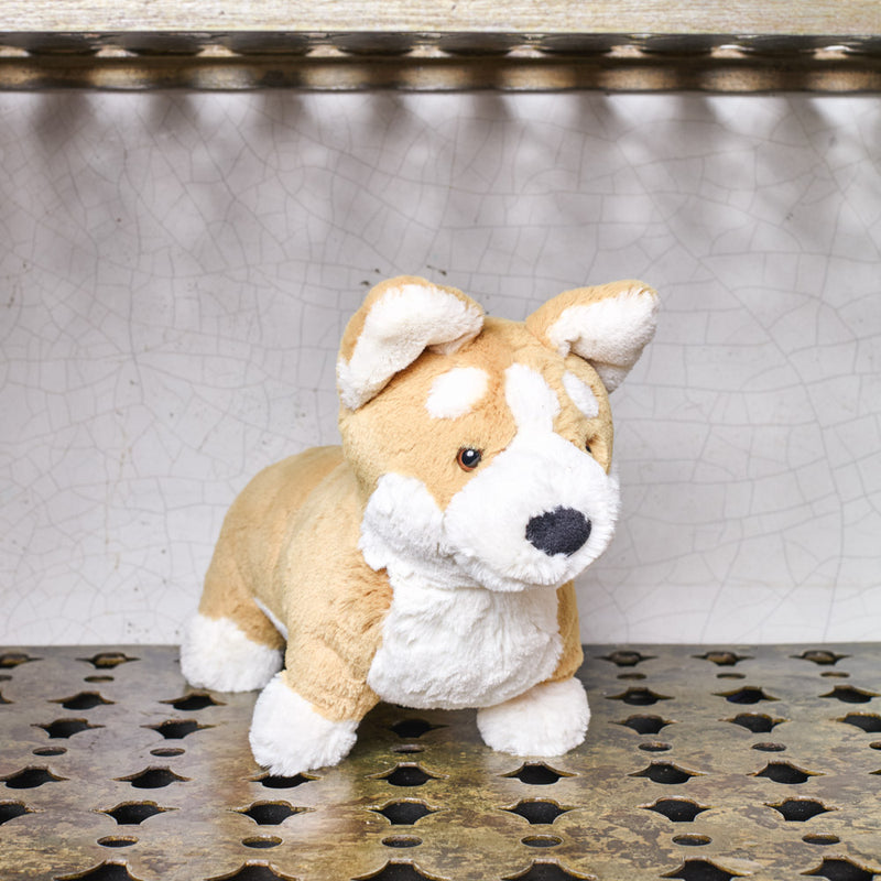 Peluche Corgi