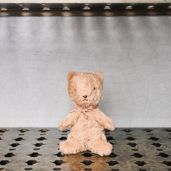 Peluche - Mon premier ours - Poudre