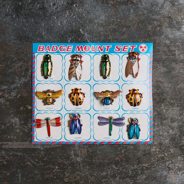 Set de broches - 12 insectes