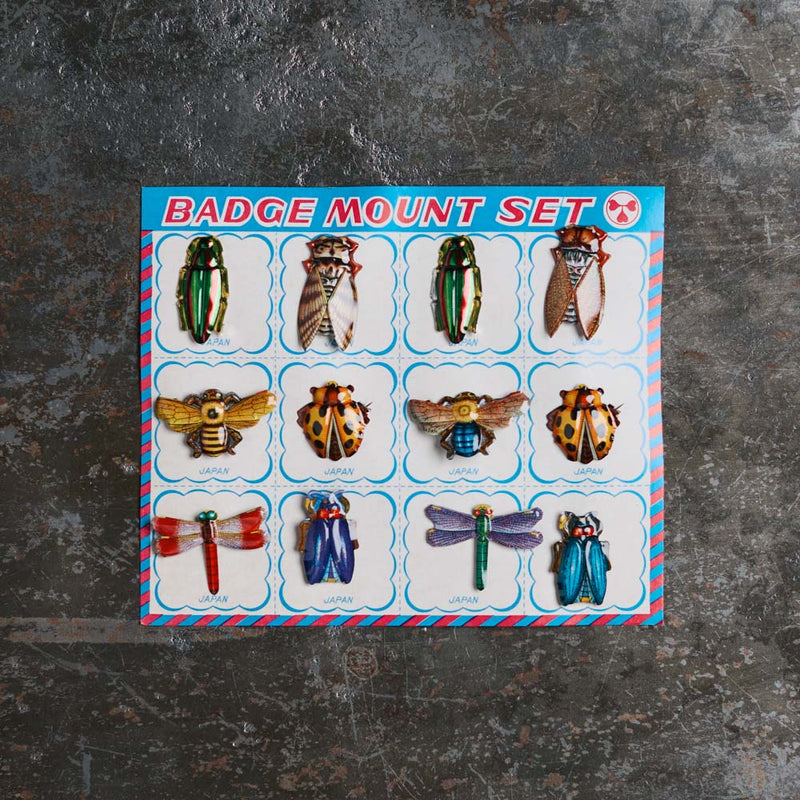 Set de broches - 12 insectes