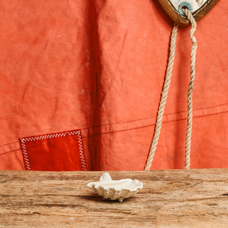 Vide poche - Coquillage