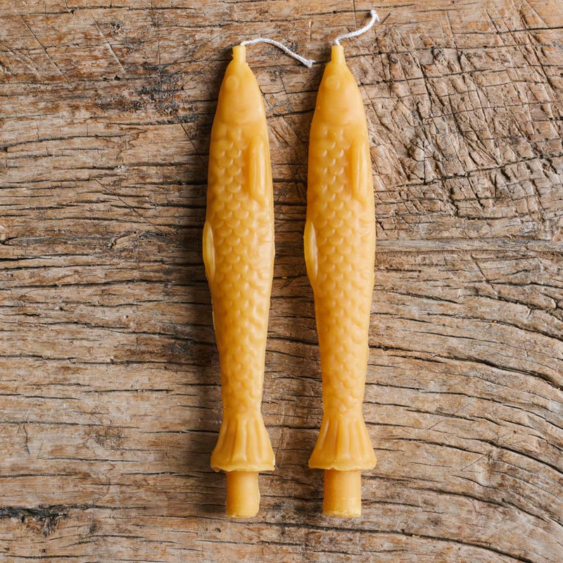 Bougie Poisson