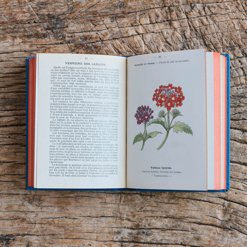 Livre Atlas - Fleurs de Jardins