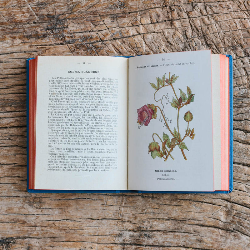 Livre Atlas - Fleurs de Jardins