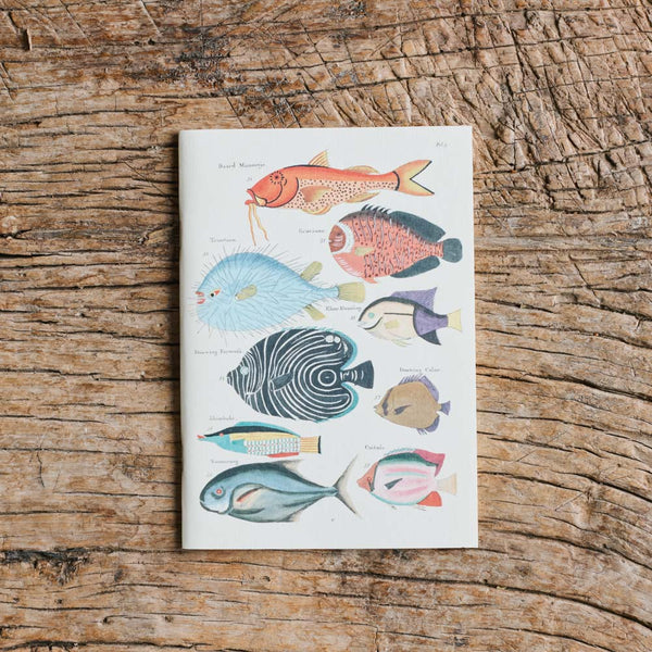 Carnet - Poissons