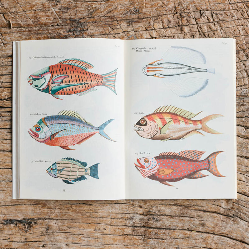 Carnet - Poissons