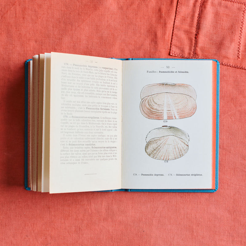 Livre Atlas - Coquilles des Côtes