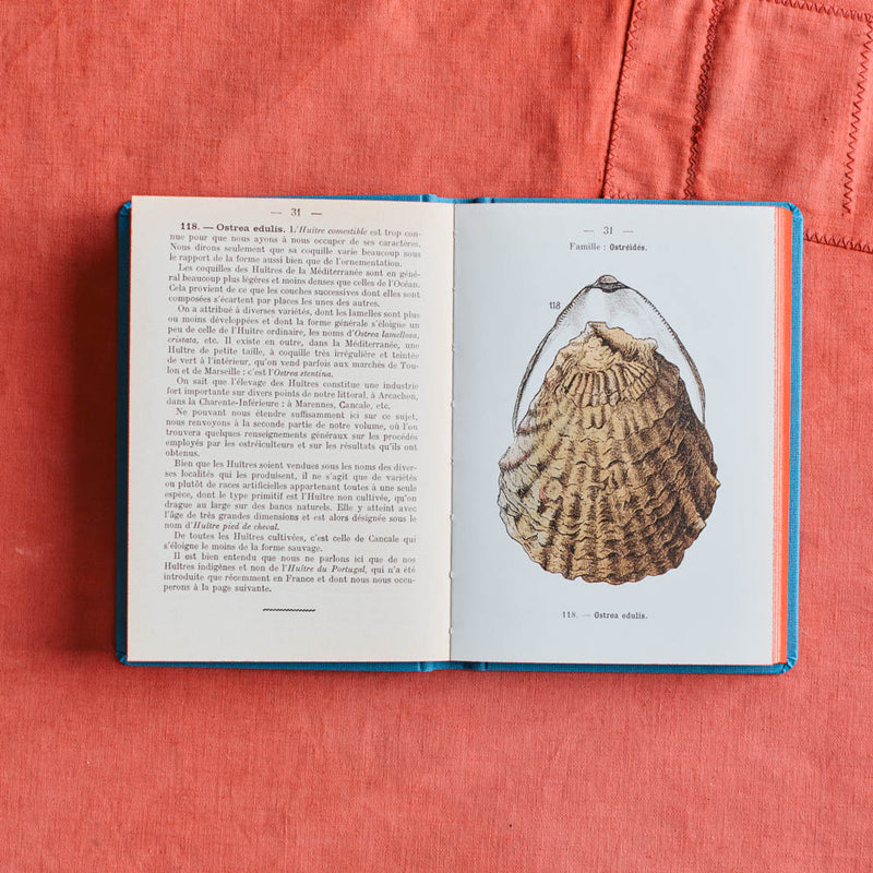 Livre Atlas - Coquilles des Côtes