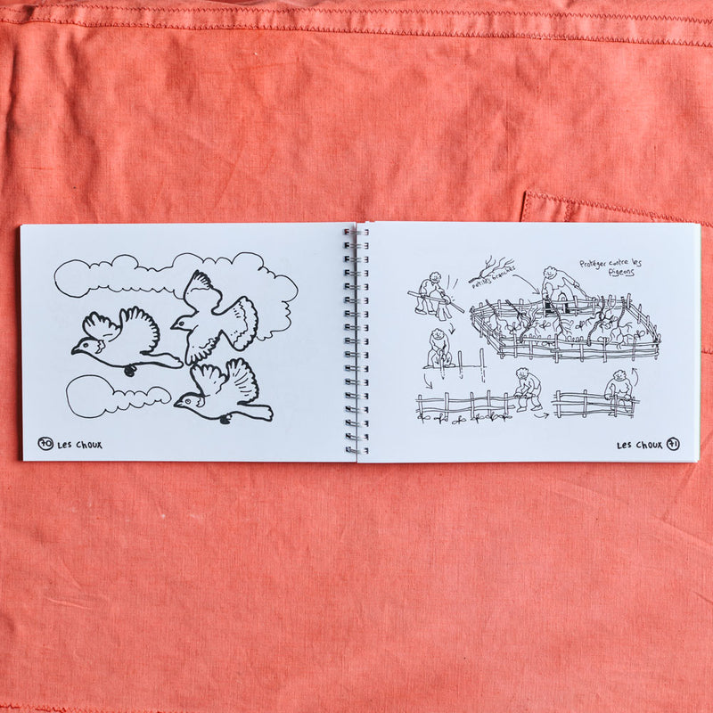 Livre - Mon Potager