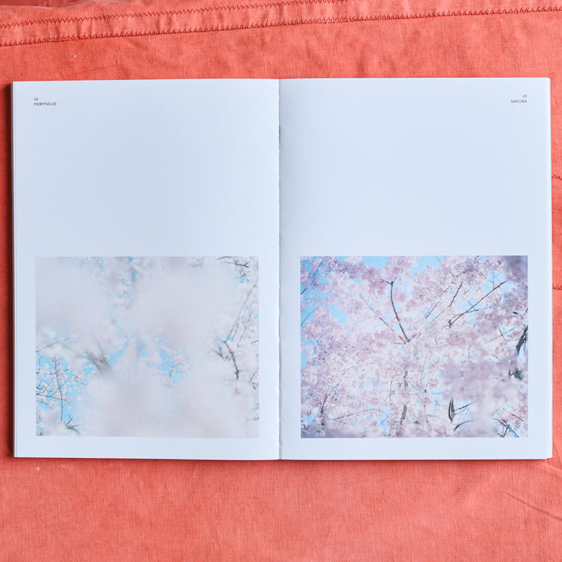 Revue N16 - Iles