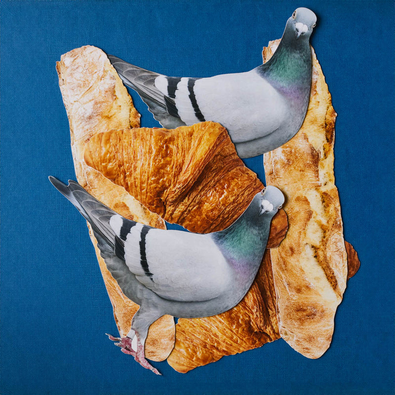 Carte Postale Merci - Pigeon