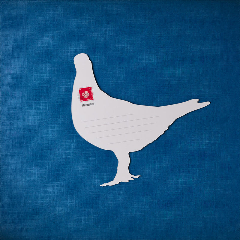 Carte Postale Merci - Pigeon