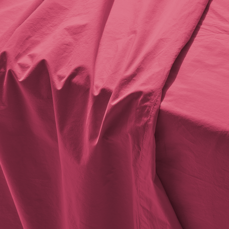 Drap plat en percale de coton - Rose Club