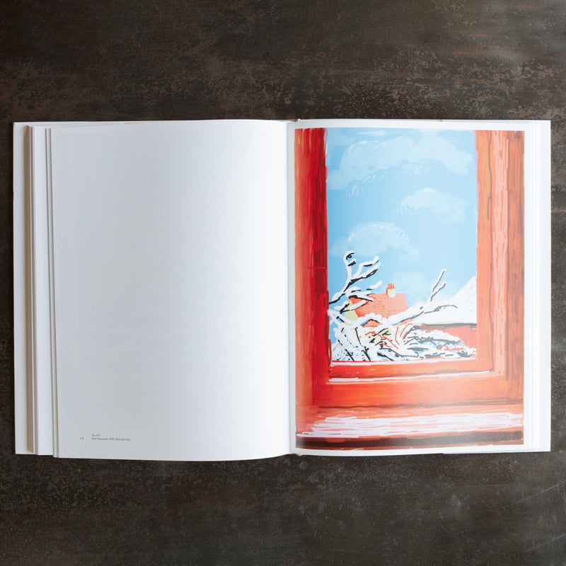 Livre - David Hockney my Window