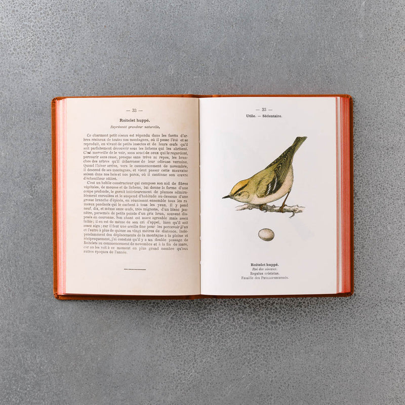 Livre Atlas - Oiseaux de France