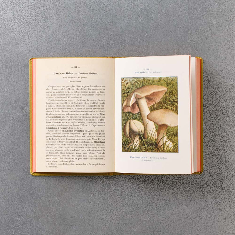 Livre Atlas - Champignons