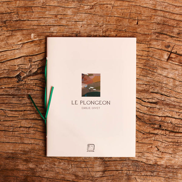 Livre - Le Plongeon