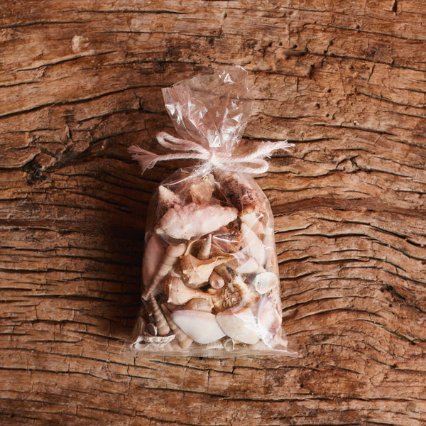 Coquillages décoratifs