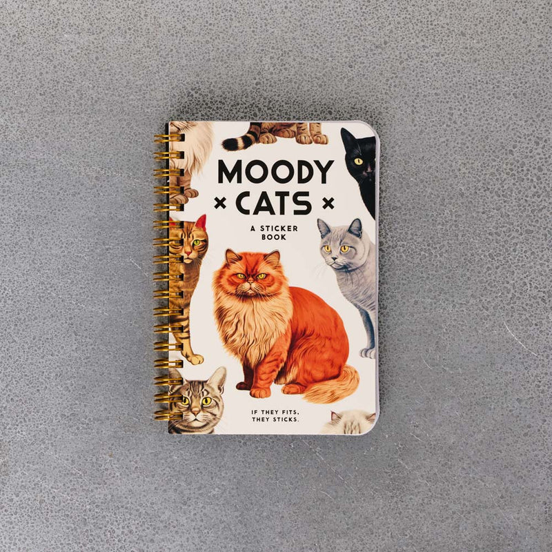 Livre - Moody Cats Stickers Book