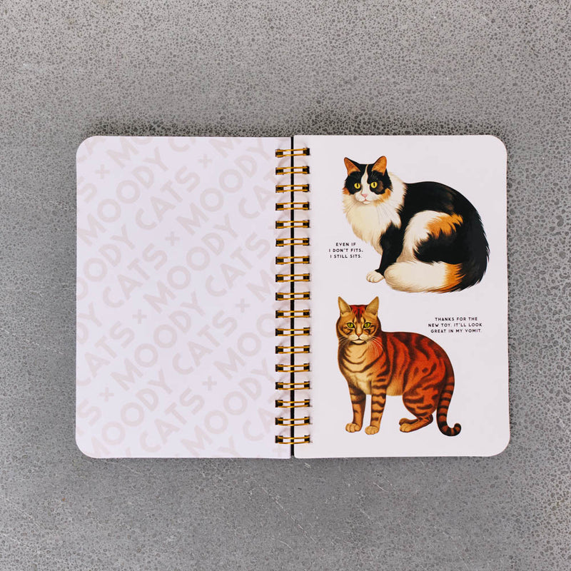 Livre - Moody Cats Stickers Book