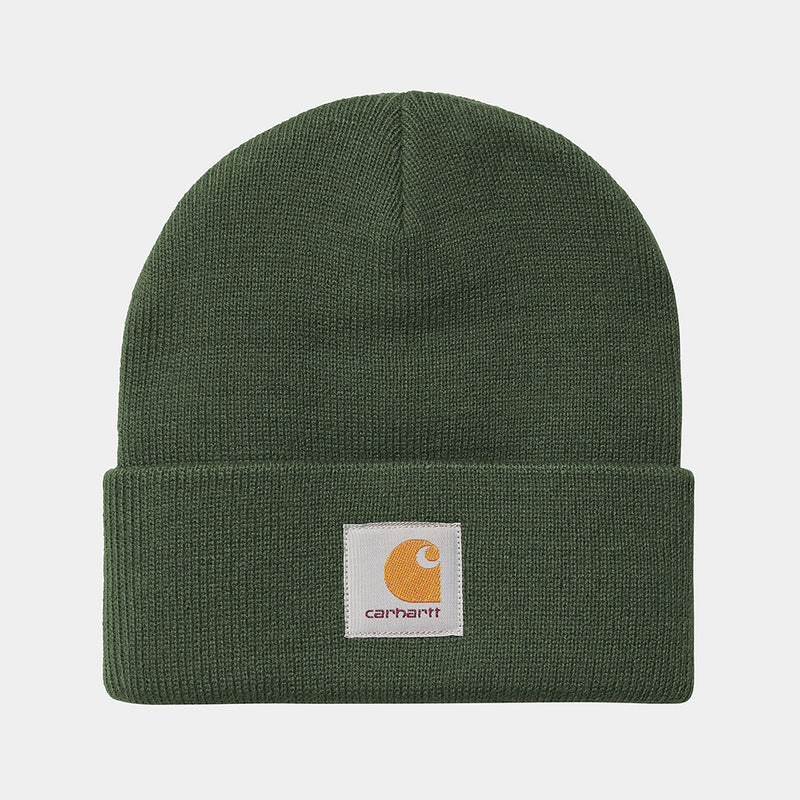 Carhartt WIP - Bonnet Short Watch - Vert